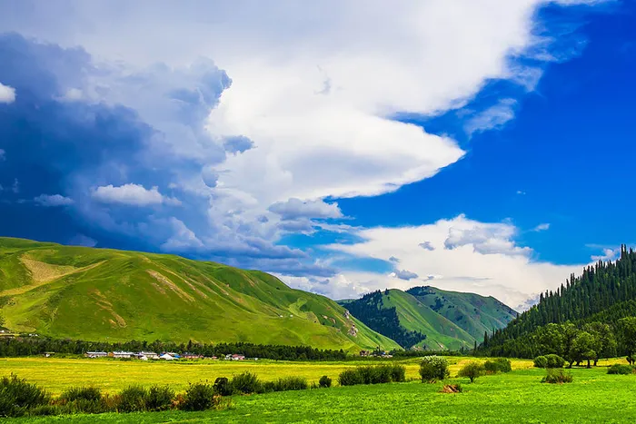 【北疆秋色摄影】经济B线-喀纳斯、禾木、赛湖、霍尔果斯、巴音布鲁克、那拉提双卧环线八日游，择日发团，新疆旅行社力荐