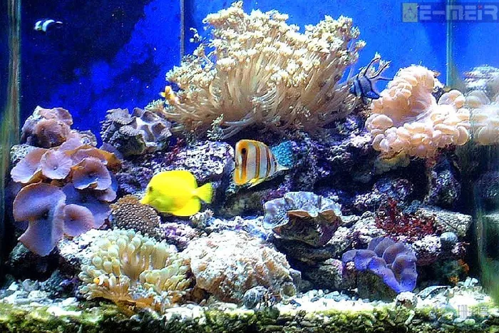 新疆到【泰新马】5飞12日游-【泰国-新加坡-马来西亚】定期发团，新疆旅行社自营专线，关注微信公众号力减200元