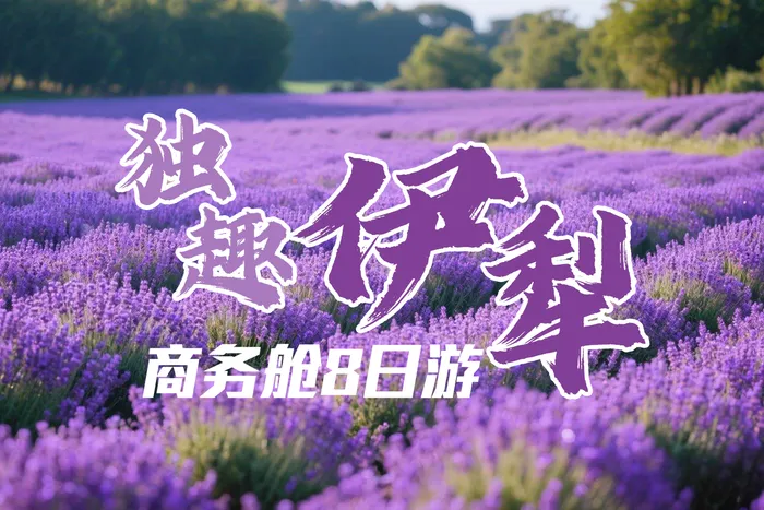 独趣伊犁·商务舱独山子大峡谷、赛里木湖、果子沟大桥、薰衣草花田、六星街、伊昭公路 、夏塔古道、库尔德宁、宝柯草原公路、那拉提、唐布拉百里画廊、独库公路8日游